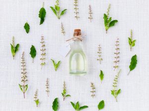 CORSO ERBE OFFICINALI
